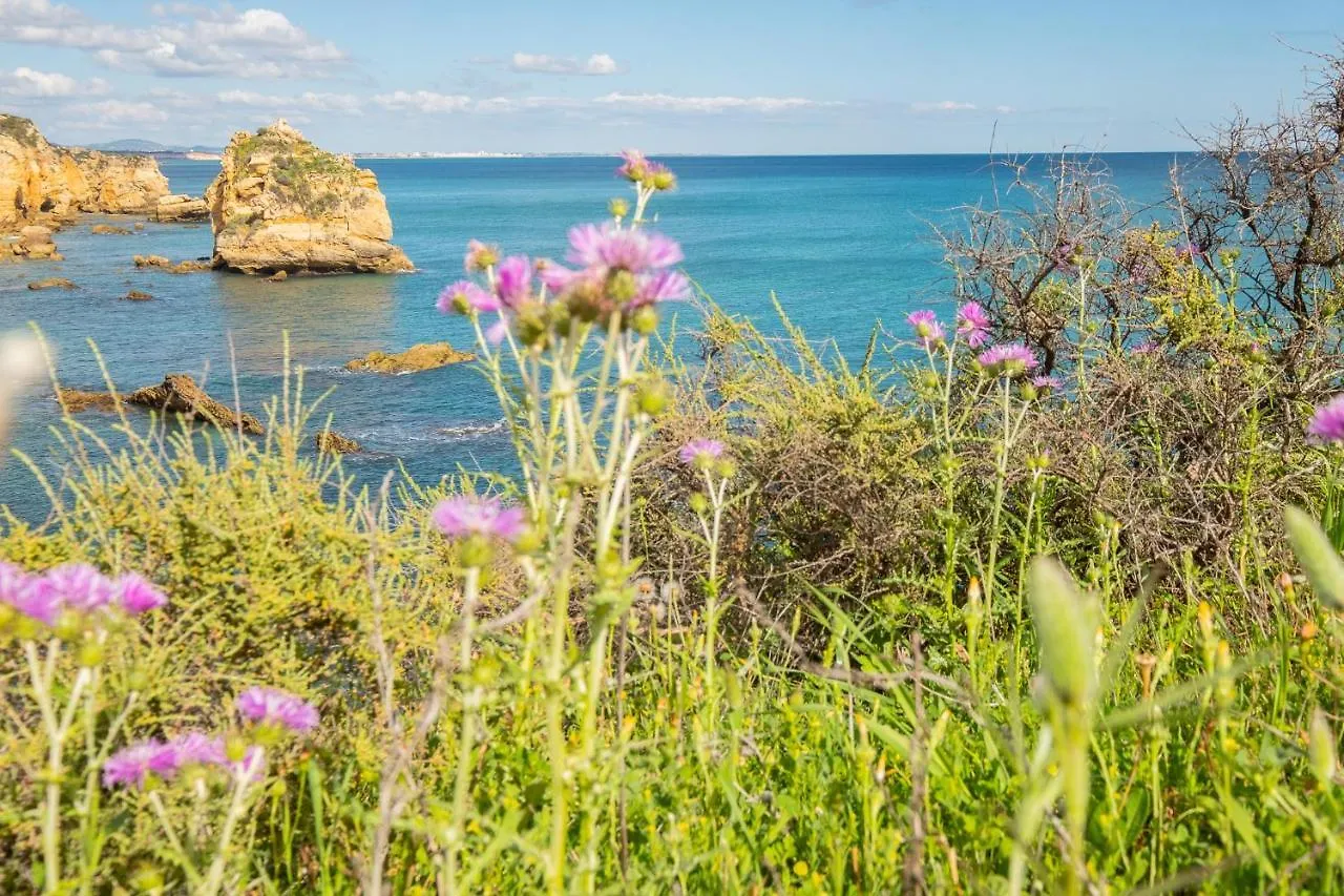Beach Praia - Sleep 5 - Pool - Free Wi-Fi - Air Con Albufeira Apartament